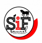 Samuel Ioron Foundation - SIF logo